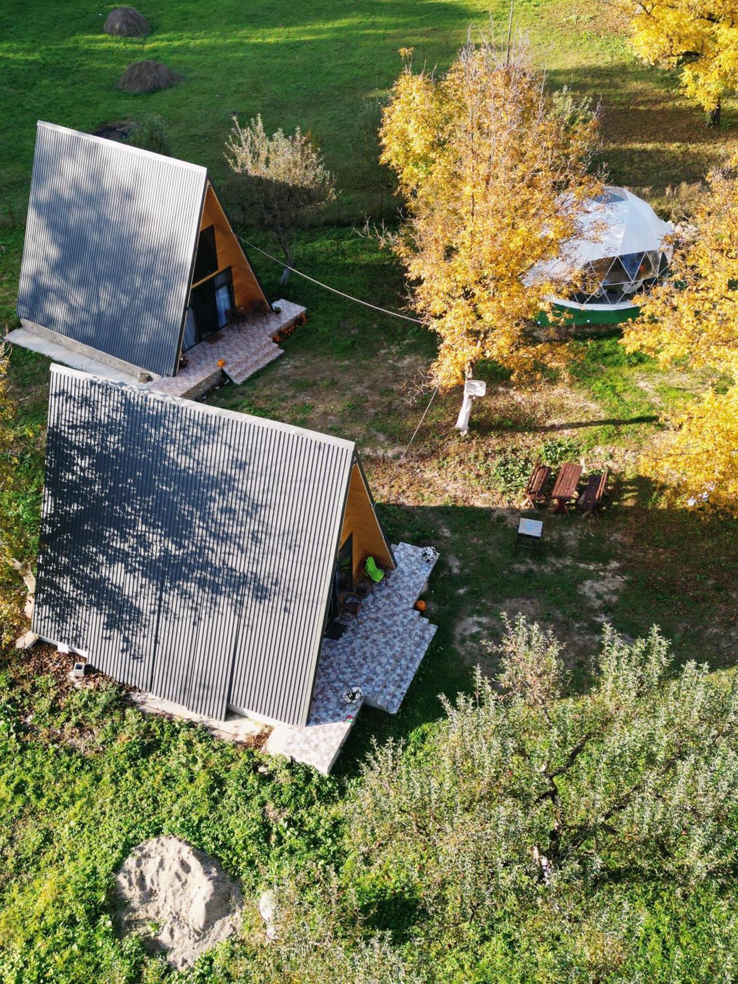 The Frog Glamping Hotel Horezu Eksteriør billede