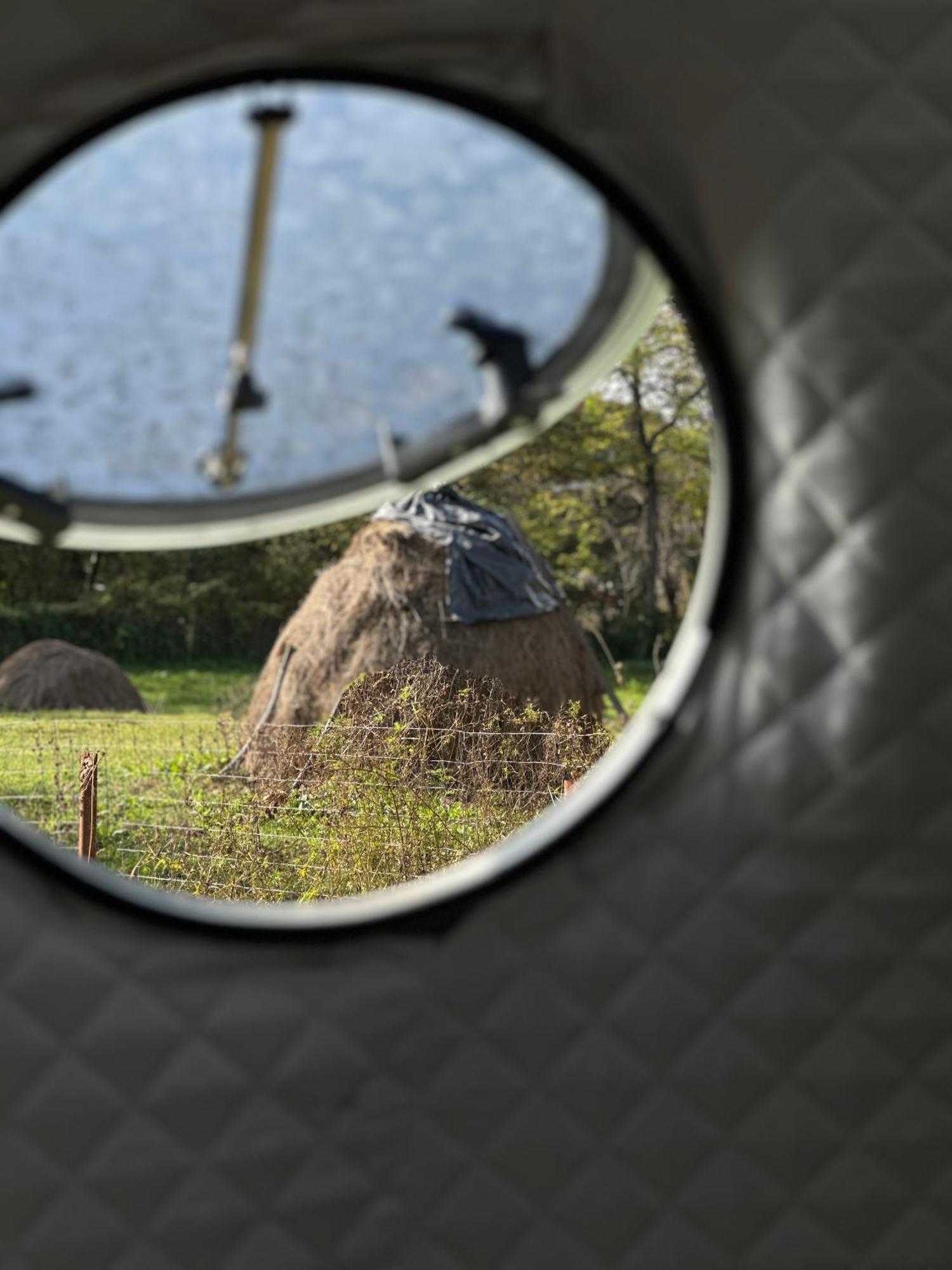 The Frog Glamping Hotel Horezu Eksteriør billede