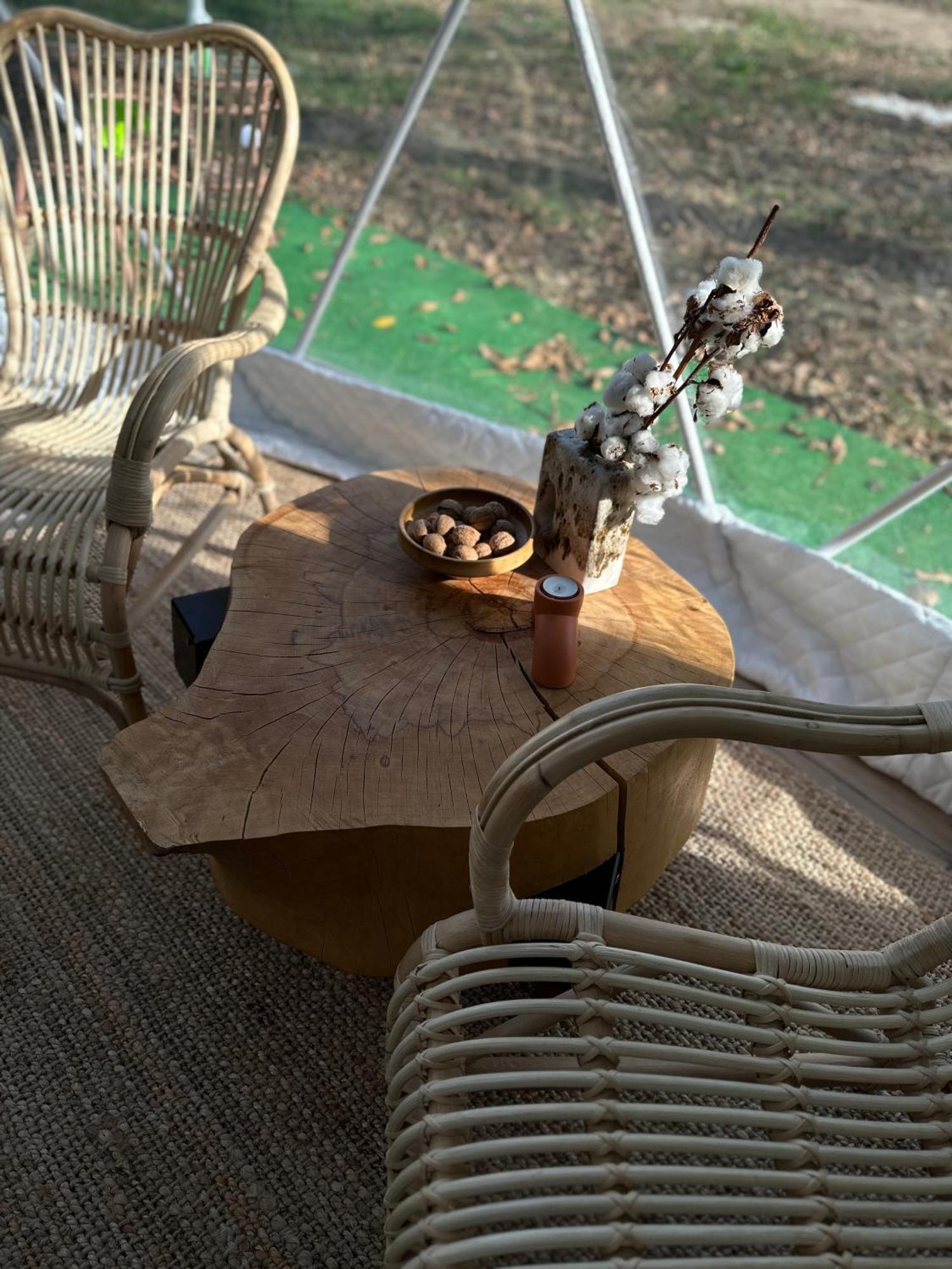 The Frog Glamping Hotel Horezu Eksteriør billede