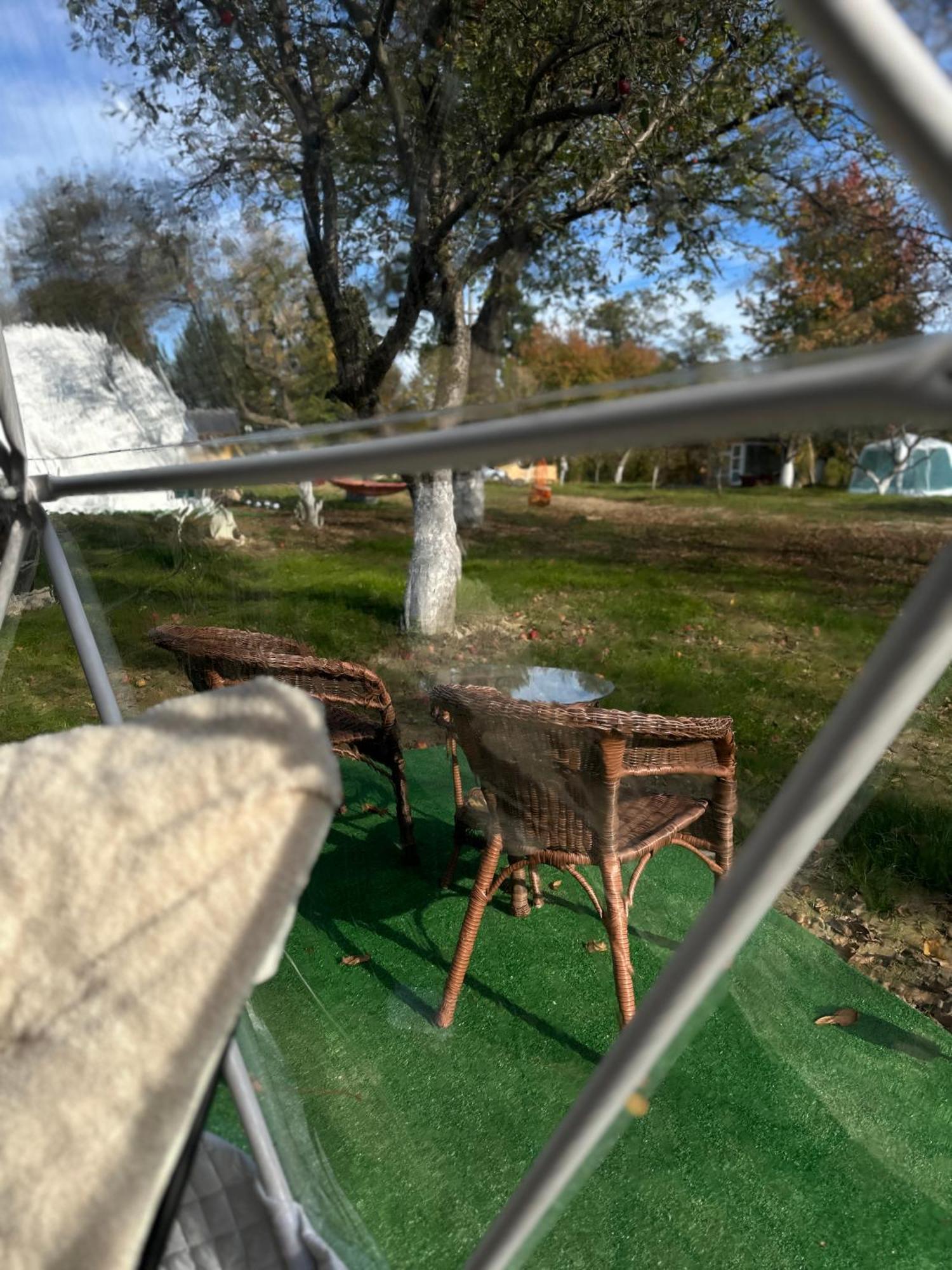 The Frog Glamping Hotel Horezu Eksteriør billede