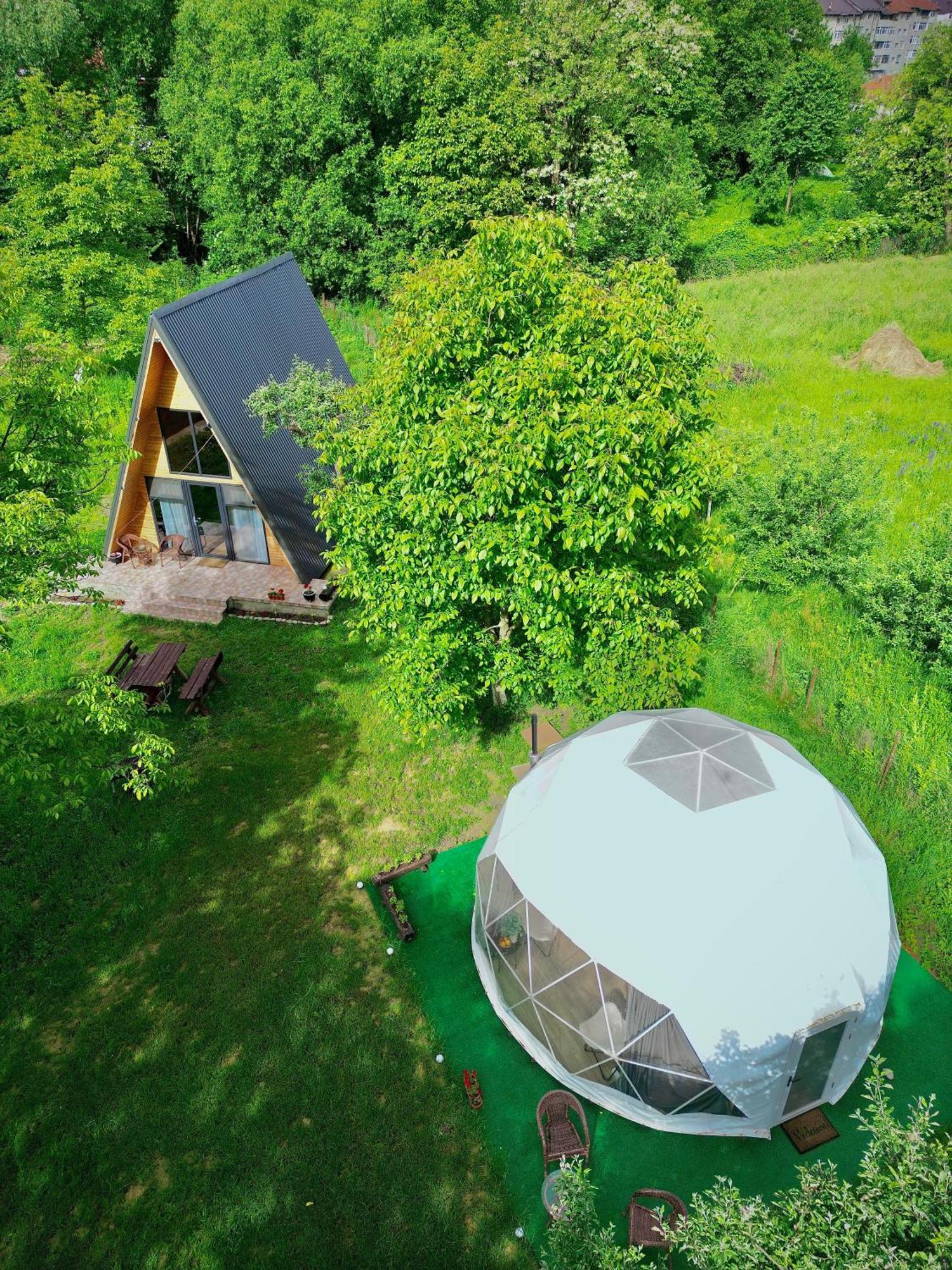 The Frog Glamping Hotel Horezu Eksteriør billede