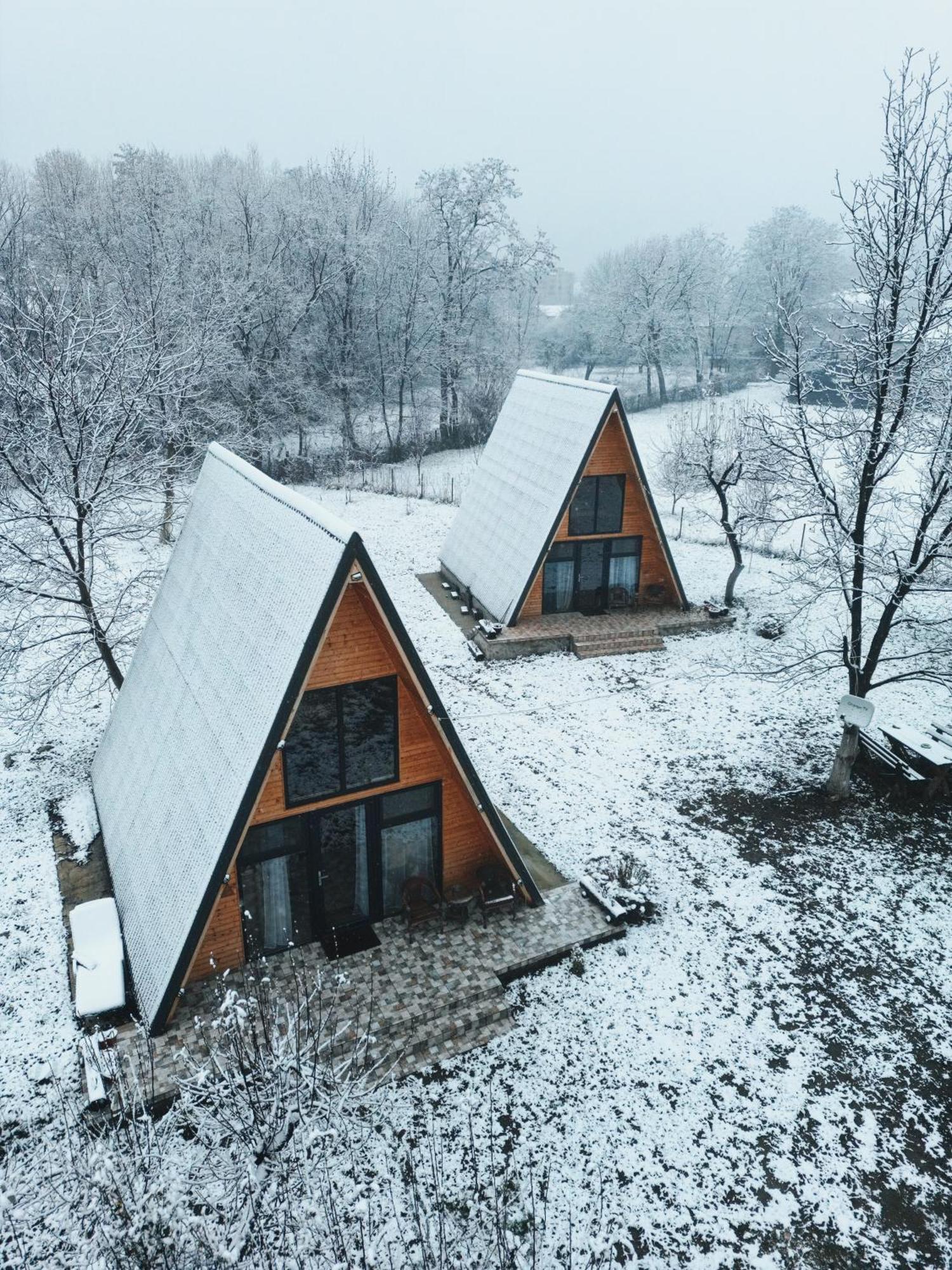 The Frog Glamping Hotel Horezu Eksteriør billede