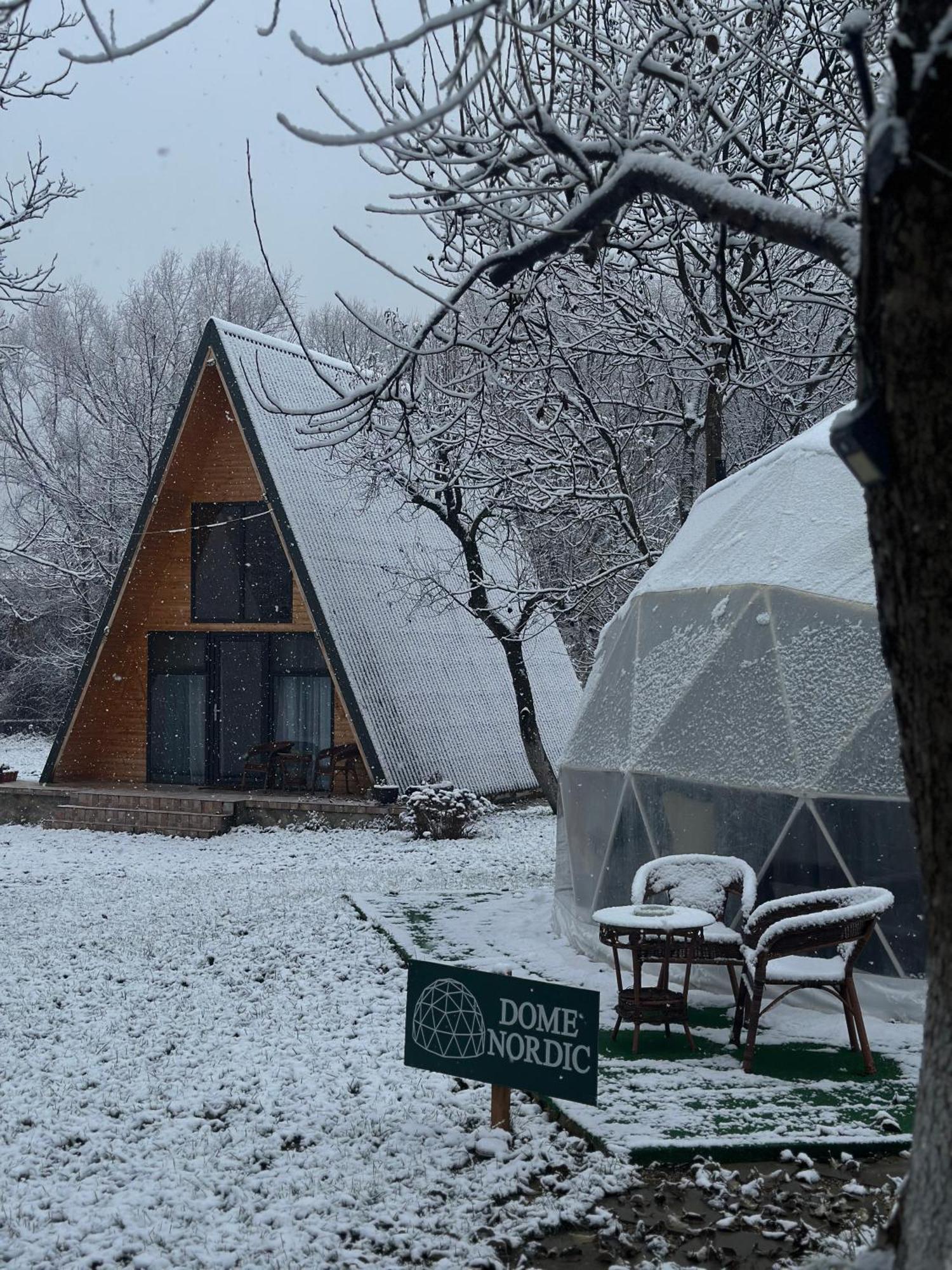 The Frog Glamping Hotel Horezu Eksteriør billede