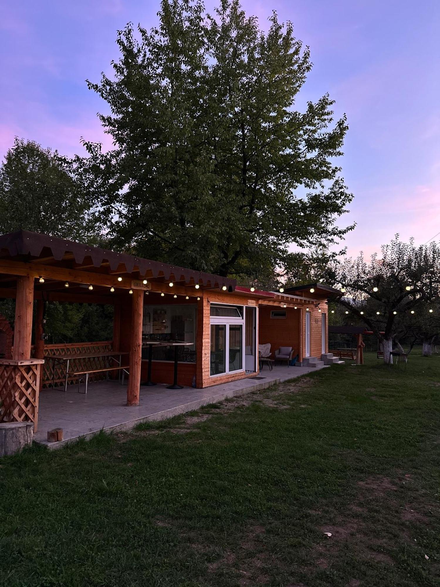 The Frog Glamping Hotel Horezu Eksteriør billede