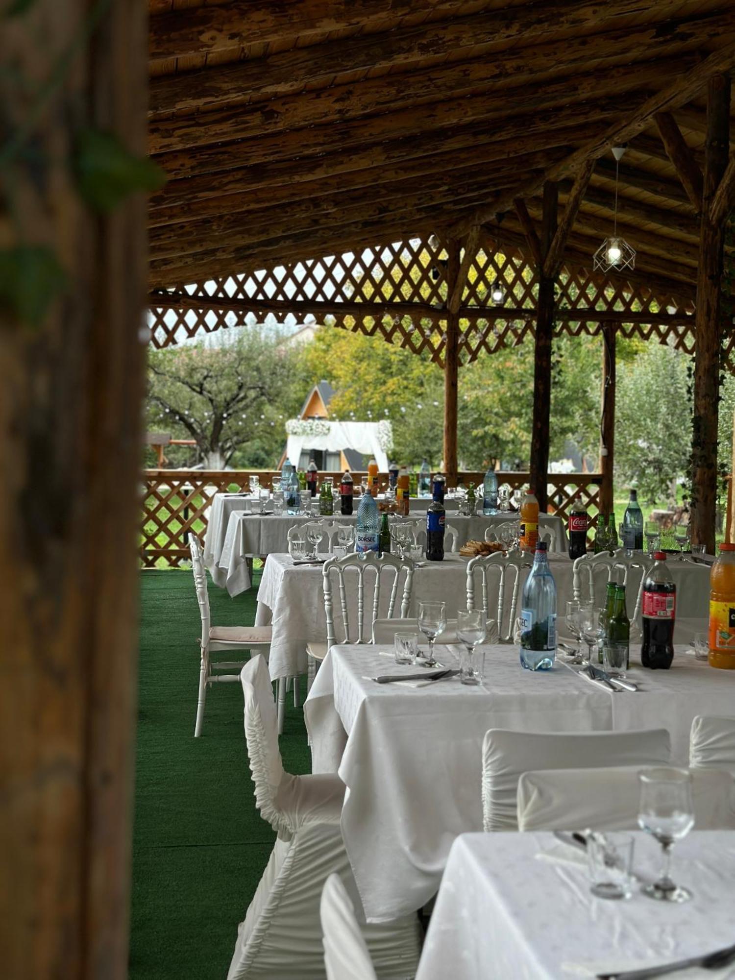 The Frog Glamping Hotel Horezu Eksteriør billede