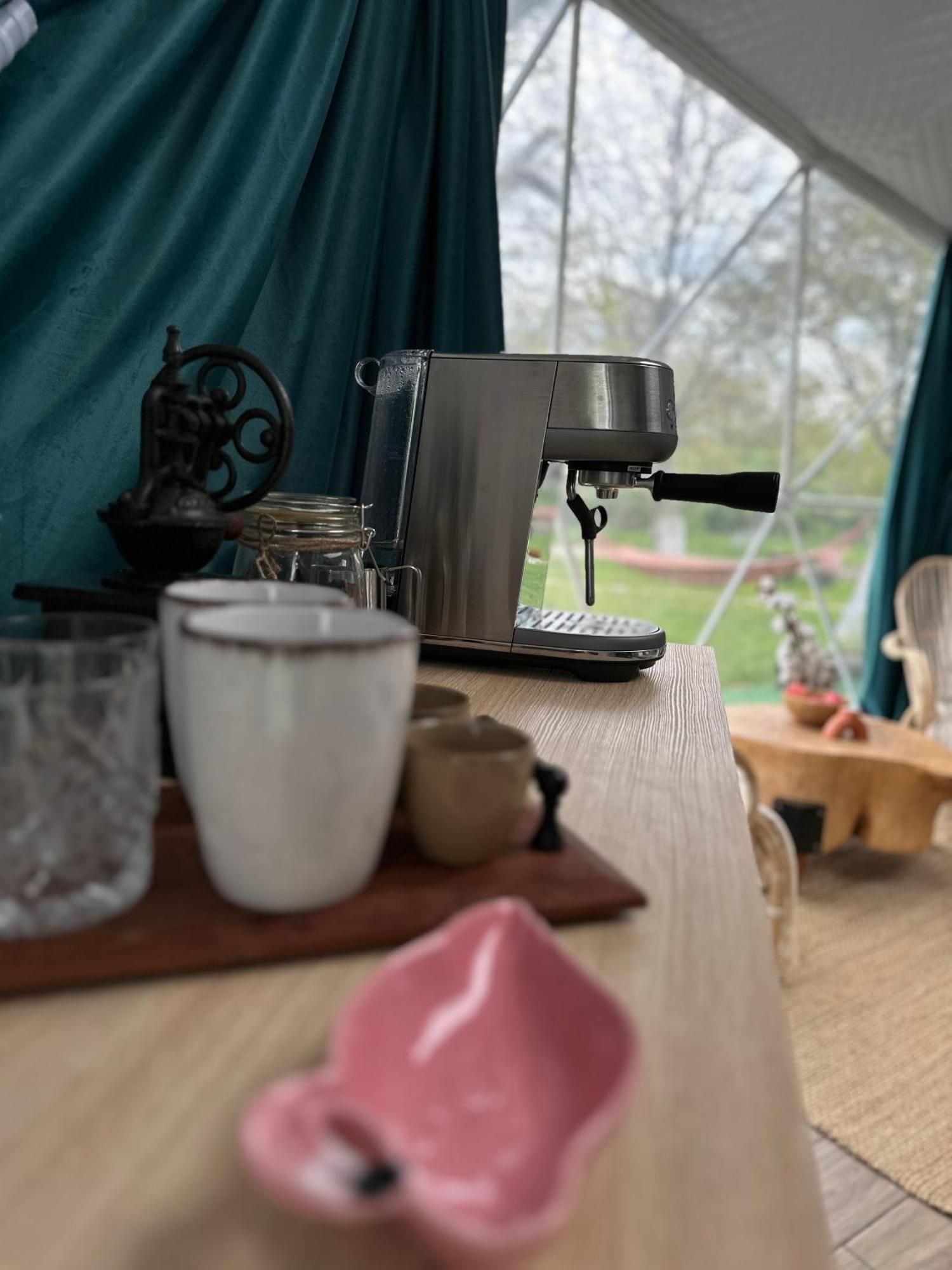 The Frog Glamping Hotel Horezu Eksteriør billede